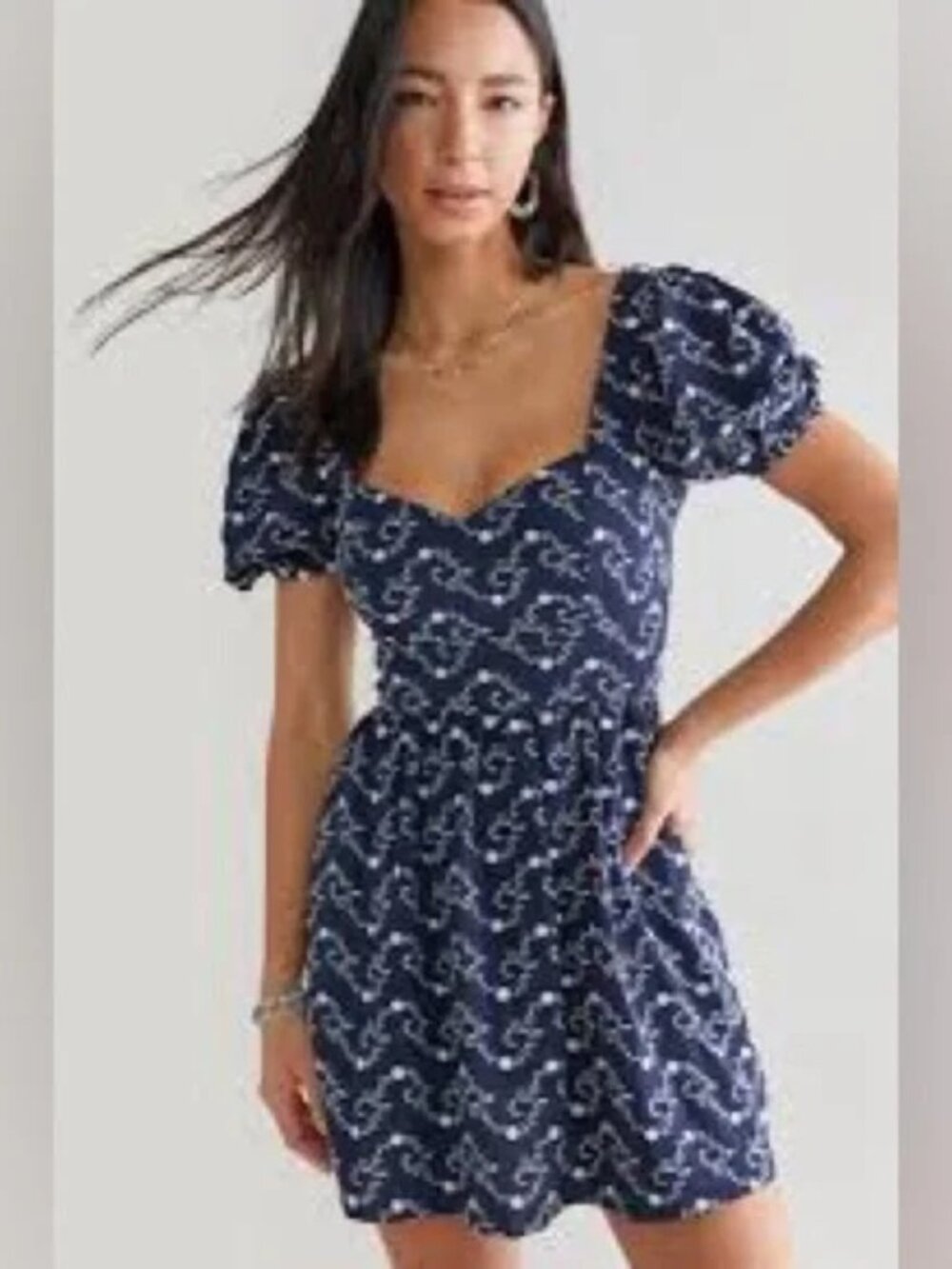 Francesca’s Audrey Parks Navy Embroidered Puff Sleeve Dress Size L NWT MSRP $66